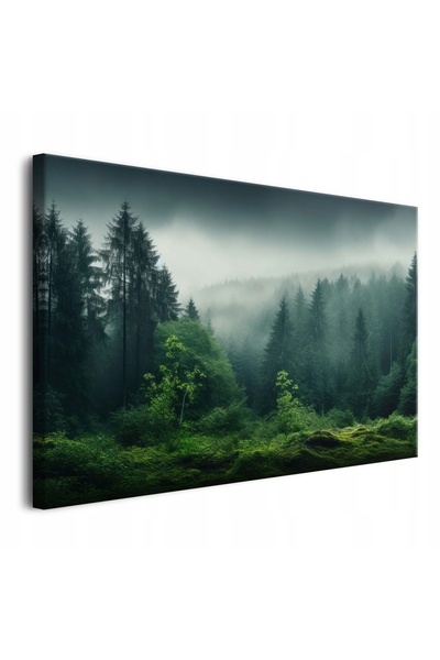 Naklejkomania Decor mural pentru camera de zi, tablou pe panza, peisaj forest...