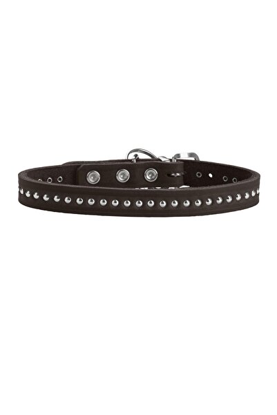 Hunter Zgardă de câine din piele stil Aalborg XS-S 37 cm