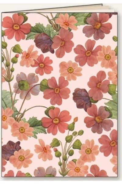 Tassotti Caiet decorativ A5/48K linie Daisy