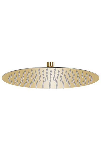 vidaxl Cap de duș rotund tip ploaie, auriu, 30 cm, din oțel inoxidabil
