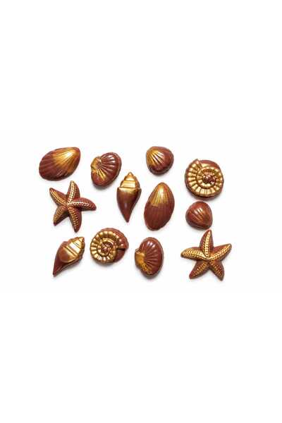 SOO SOAP Sea Shells Soap Set Brown-Gold Set of 12 Handmade Gift Decorative