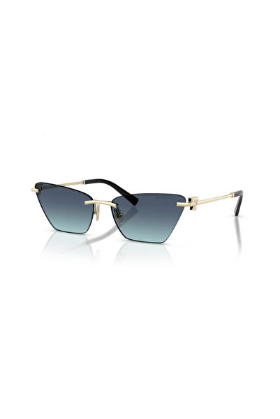 Tiffany Sunglasses 3120 60219S 61