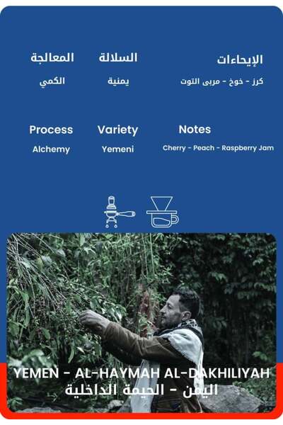 30wet Yemen - Inner Friendship Coffee - Excellence Competition Series 90+