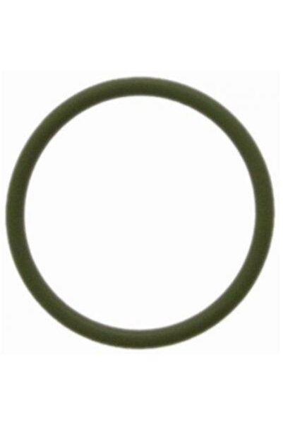 FEBEST Garnitura, conducta supapa-AGR RINGAH-B5