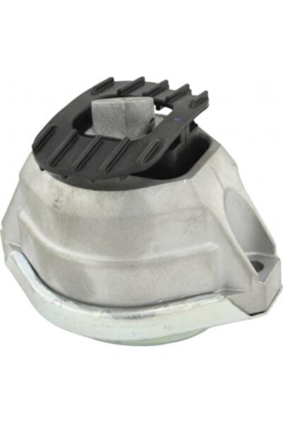 FEBEST Suport motor BMM-E60LH