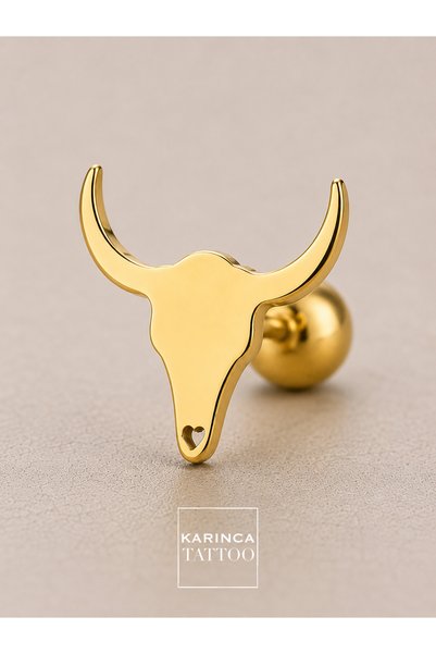 Karınca Piercing Boğa Kulak Piercing Helix Lobe Flat Tragus Küpe Cerrahi Çelik