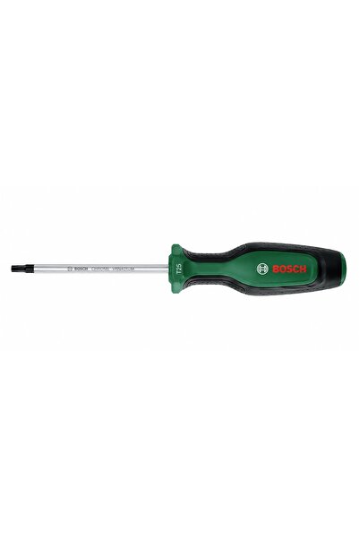 Bosch TORNAVİDA TORX TX 25 X 100 MM