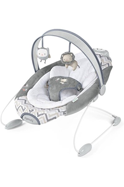 Ingenuity Smartbounce Automatic Bouncer™ - Braden™, Piece Of 1