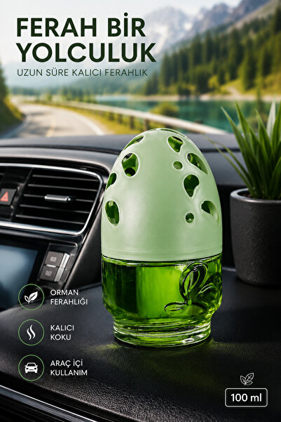 cabbaroğlu ticaret E-JOLLY Küre kavanoz Koku Forest/Orman Ferahlığı 100ml