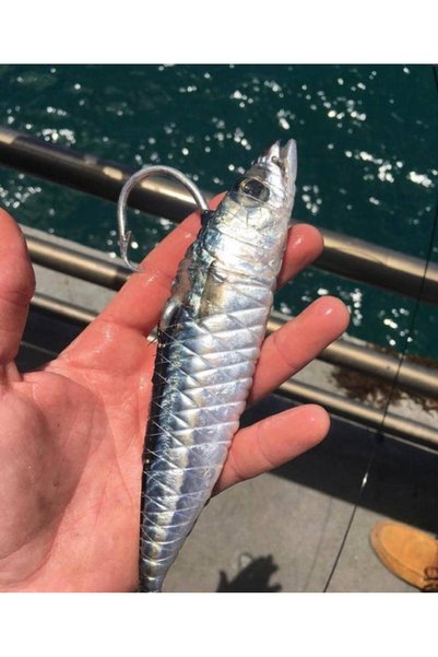 OEMS Bait winding thread 250 meters
