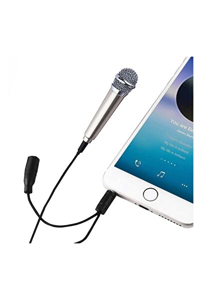 OEM Microfon Mini pentru Karaoke Argintiu 1.8x5.5cm, pentru vlog, karaoke si ...
