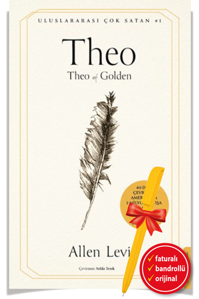 Destek Yayınları Alfa Kalem ile Theo (Allen Levi) YENİ Roman Öykü Kitap