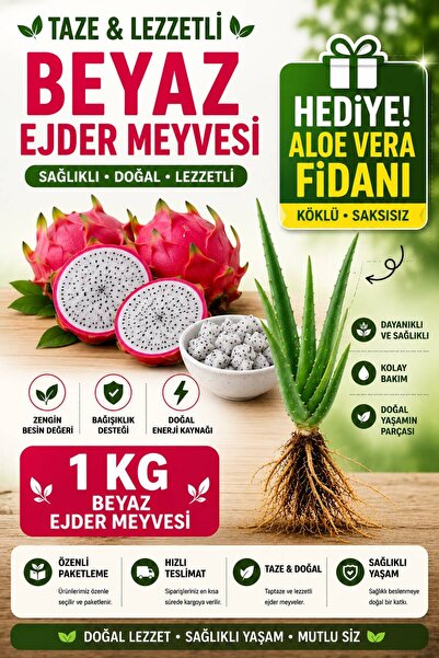 Dragon Fruit 1 KG Beyaz Ejder Meyvesi (200gr altı, 5-6 adet ) + Köklü Saksısı...