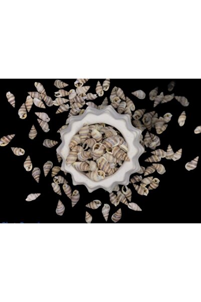 HERALDİS Brown Oyster Perforated Jewelry Material (40 Pieces)