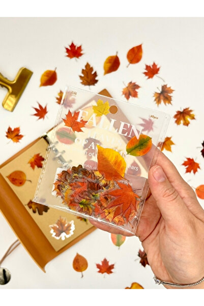 Kağıt Gemi Dükkan Autumn Dream Leaves 40 Adet Dekoratif Mor Yaprak Şeffaf Pet...