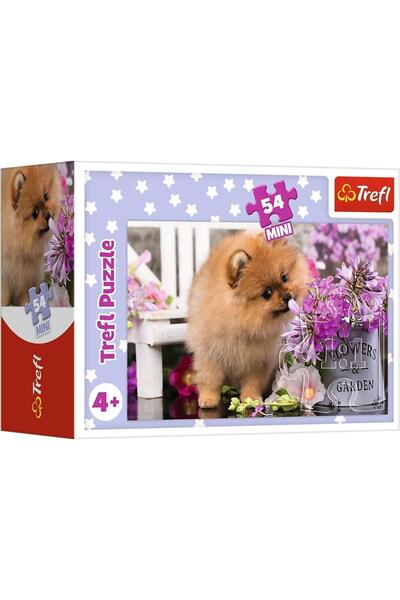 Trefl Puzzle, Trefl, 54 piese, Carton, Multicolor