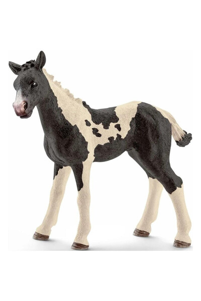 OEM Manz Pinto SCHLEICH - Model Folie 124x80 mm, Ideal pentru Colecționari