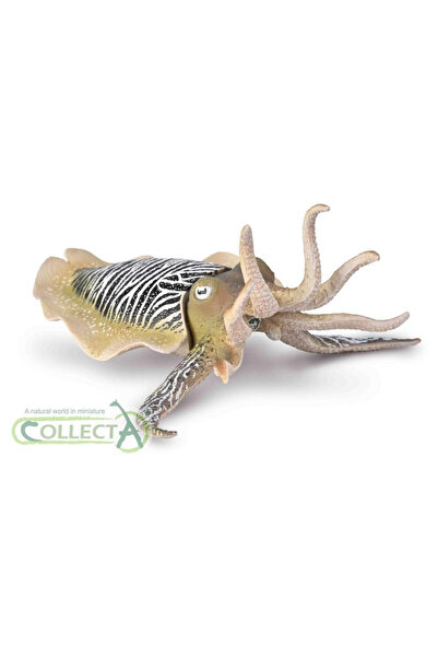OEM Figurină Sepie Comuna Collecta - Model Educațional de Colecție 129x140 mm