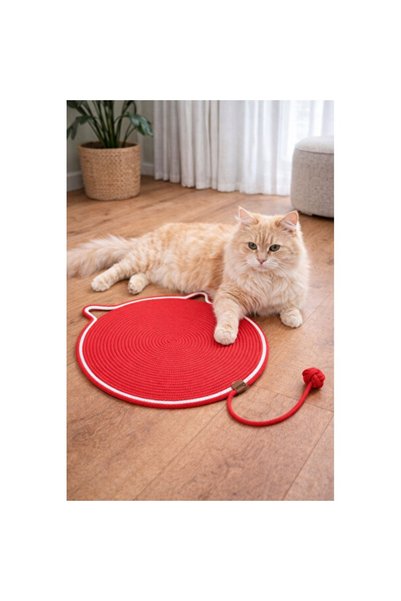 Empressco Colorful Cat Scratching Mat, Fun Design for Play and Exercise