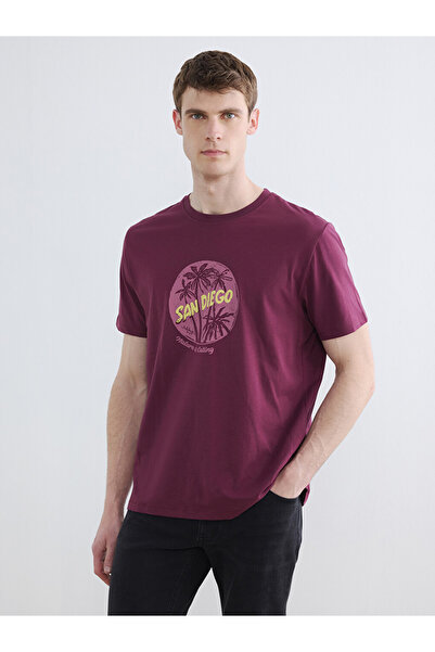 LC Waikiki تي شيرت رجالي مطبوع عليه San Diego من Plum Crew Neck