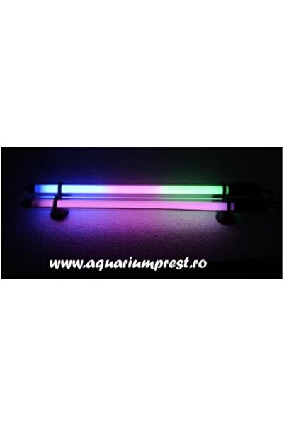 Aqua Zonic Neon colorat acvariu submersibil in 2 culori ( albastru + roz ) 25 cm