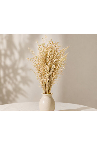 Doğal Kuru Yulaf Demeti (Avena) (Naturel)– Dekoratif Naturel Kuru Çiçek
