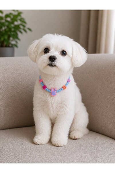 Pawellia.co Stylish Design Cat Collar Cat Necklace Small Breed Dog Collar Dog...