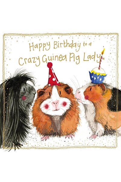 Alex Clark Felicitare aniversara Crazy Guinea Pig Lady, ilustratie amuzanta, ...