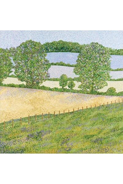 OEM Felicitare cu plic / card de felicitare Susan Entwistle AC10002, ilustrat...