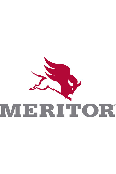 Meritor Senzor Uzura Placute Frana Spate Stanga Lungime: 2400mm Rvi C K T Tbh...