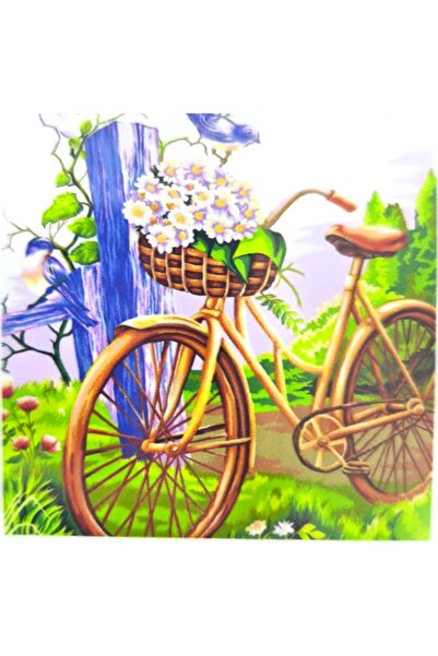 LİVA CRAFT Art & Craft Diamond Mosaic Painting, 30X30Cm Floral Bicycles Bead ...