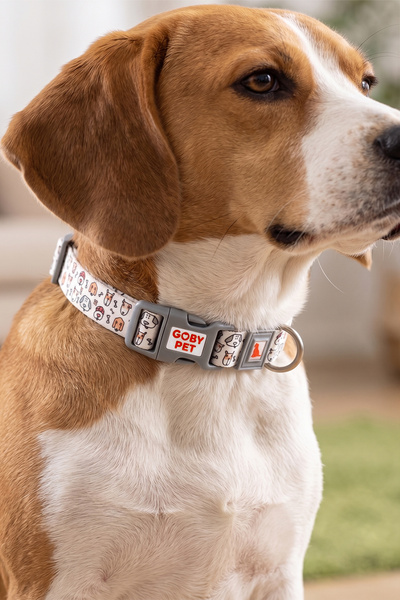 GOBYPET Köpekler İçin Dayanıklı Ve Güvenli, Desenli Boyun Tasması ( 25mm )