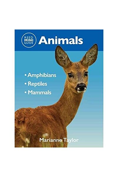 New Holland Mini Ghid Reed: Animale