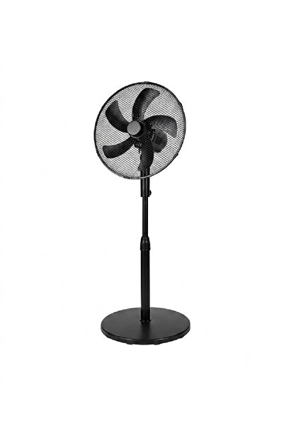 Evendi Fan, Black