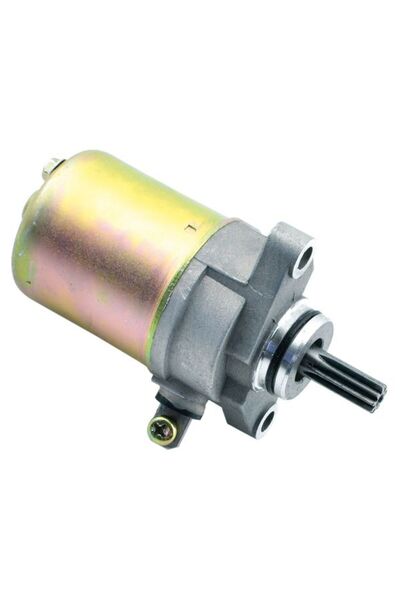 Vicma Electromotor Aprilia Scarabeo Arctic Cat Y-12 Y-6 Benelli K2 Italjet Fo...