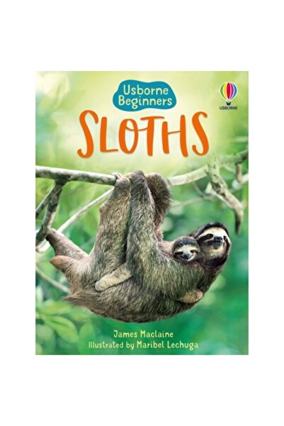 Usborne Sloths - James Maclaine