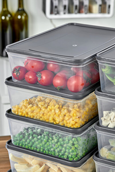 Ezupack 2x4 Lt. Buzdolabı Düzenleyici Buzluk Saklama Kabı Mikrodalga Difrize Uygun Organizer Antrasit