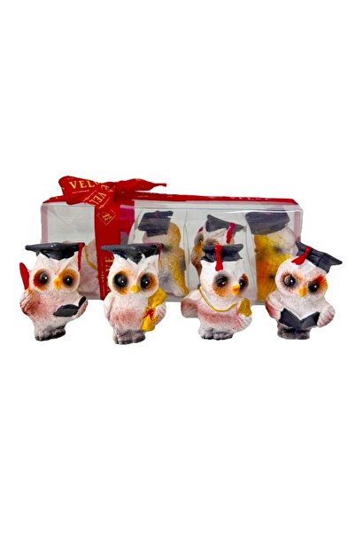 velve Set 4 Figurine Decorative in forma de bufnite cu toca de absolvire, 16x...