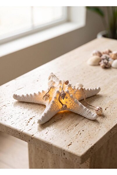The Mia Marin LED Aydınlatmalı Deniz Yıldızı Obje 25 cm