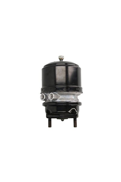 WABCO Camera de Frana Spate (24/30 Cursa: 64mm/64mm M22x1,5mm Disc) Scania