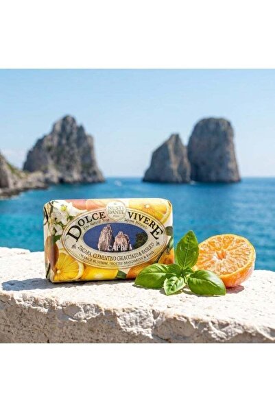 Nesti Dante Dolce Vivere Capri soap 250 gm Luxury Italian Natural Soap Bar – ...