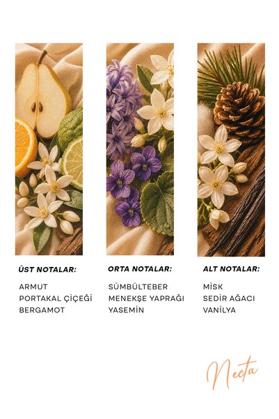 h.OLA Necta Exrait de Parfum | Kadın Parfümü 100 mL