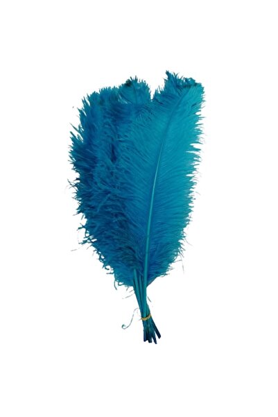 OEM Set de 3 pene de struț, lungi de 60 cm, culoare turcoaz, lățime 20-25 cm