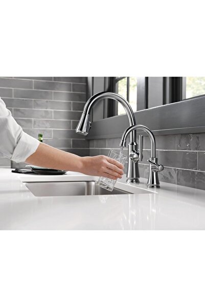 DELTA FAUCET 1920-AR-DST Geleneksel İçecek Musluğu, Arctic Paslanmaz