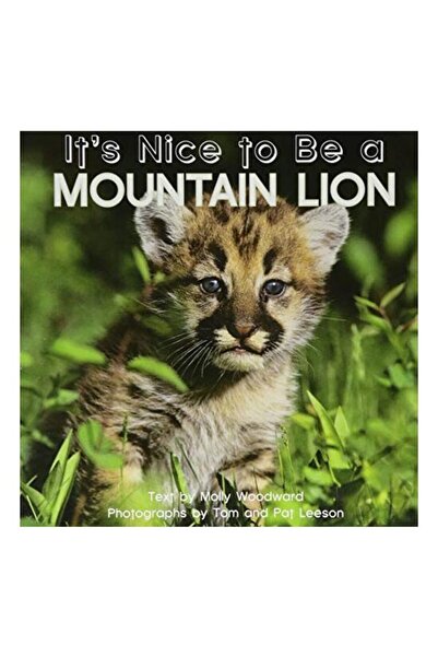 Generic (Unbranded) E o mulțime a fi un Mountain Lion