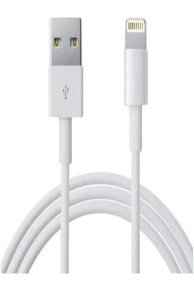 Generic Brand iPhone Cable Adapter