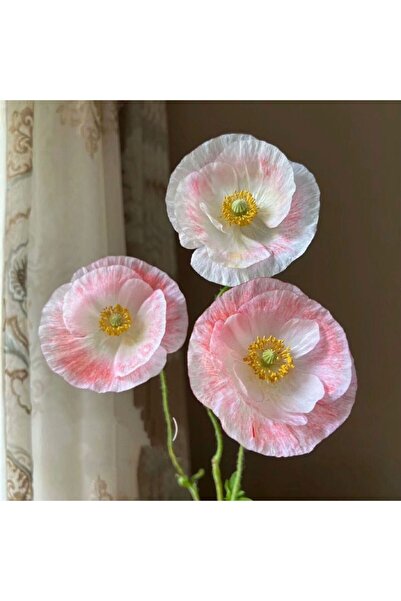 Bloom & Sow Seed بذور الخشخاش الرقيقة بلون الباستيل، بذور زهور مقطوفة للحدائق