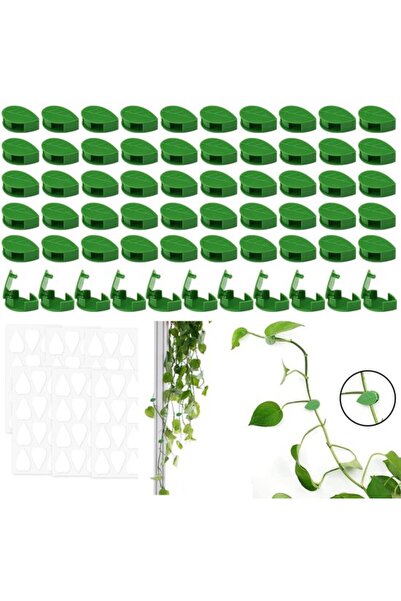 Morvena Picks Suport pentru plante de perete - 60 cleme pentru plante - plastic