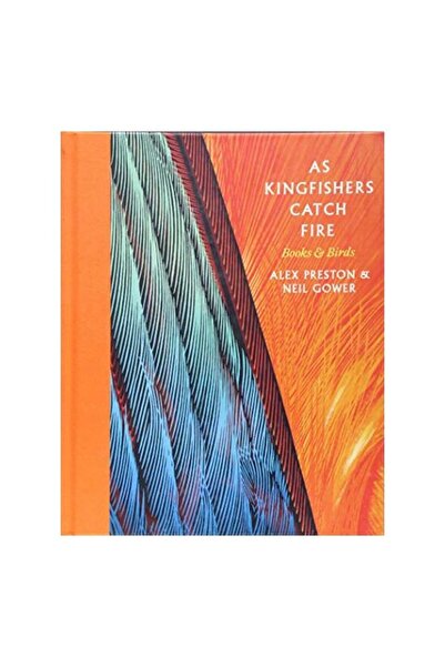 Generic (Unbranded) As Kingfishers Catch Fire