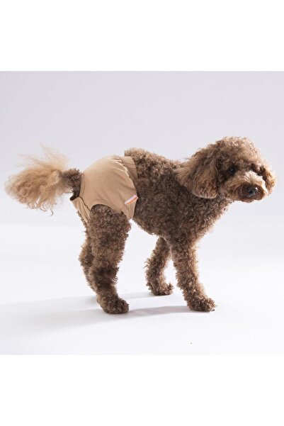 Pawstar Krem Kedi-köpek Çamaşırı Regl Kilodu